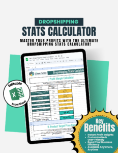 Dropshipping Stats Calculator